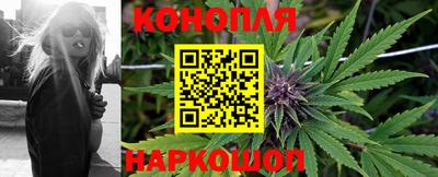 a pvp Отрадное