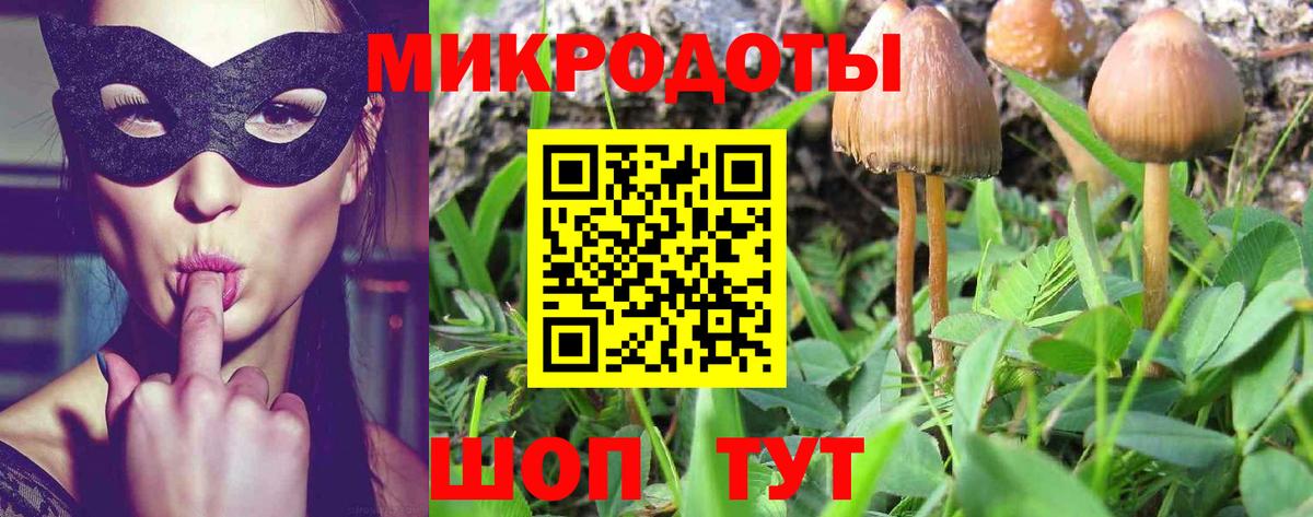 цена   Галлюциногенные грибы MAGIC MUSHROOMS  Вход с VPN  Кулебаки  Галлюциногенные грибы мицелий 